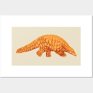 sleepy pangolin in slow motion Posters and Art